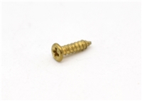Baldwin  Body Screw - Type A (Gold) 391-025
