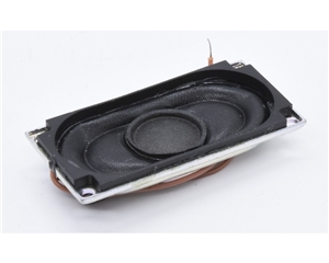 Windhoff MPV Speaker 31-575